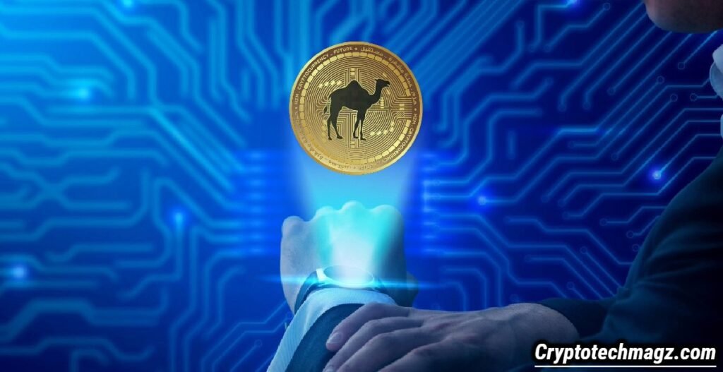 Camel Activate Single Crypto